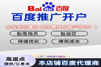 高效百度竞价推广代运营实战案例